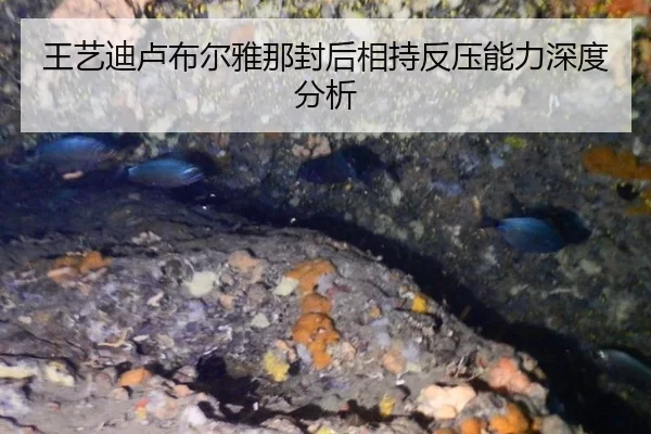 王艺迪卢布尔雅那封后相持反压能力深度分析